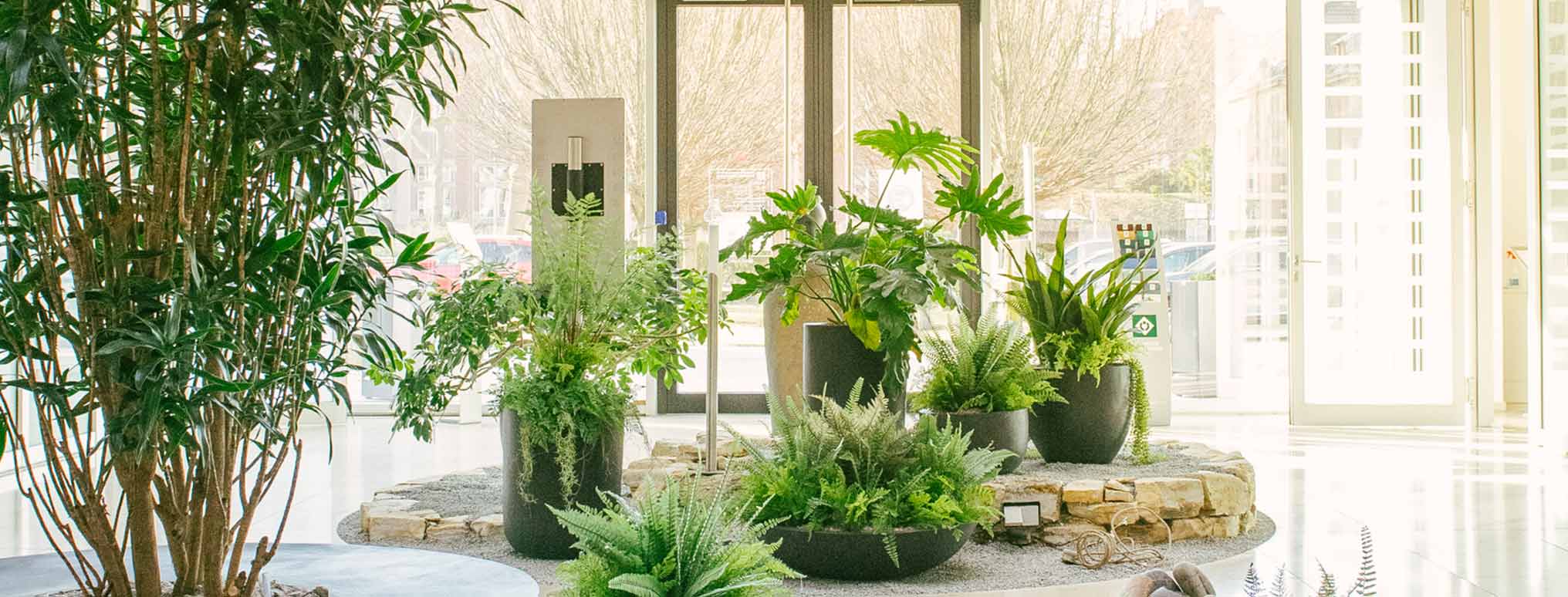 Begrünter Innenbereich mit großen Pflanzen, natürlichen Dekoelementen und einer Glasfront, die Tageslicht hineinlässt.